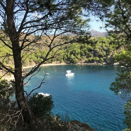 Castell Blau * Roses